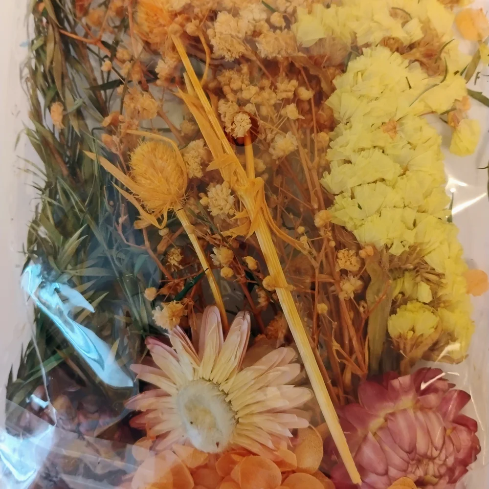 Pressed Dried Flowers Dry Resin Crafts Red Orange Yellow Scrapbooking Wedding